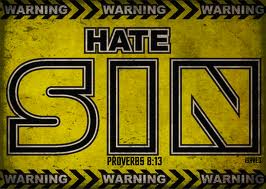 hating sin2